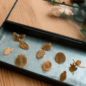 Pin's Poussières des rues