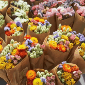 Bouquet de fleurs séchées